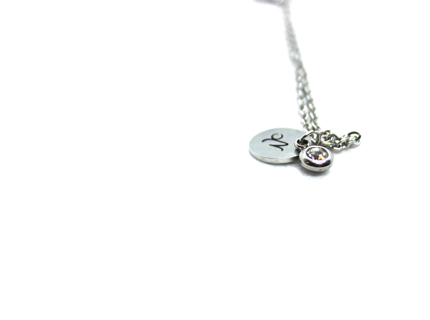 Capricorn Star Sign Pendant and Necklace